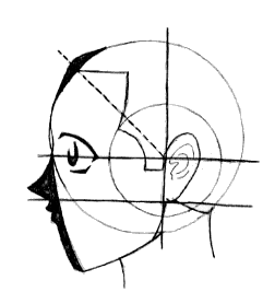 [dessiner le profile]